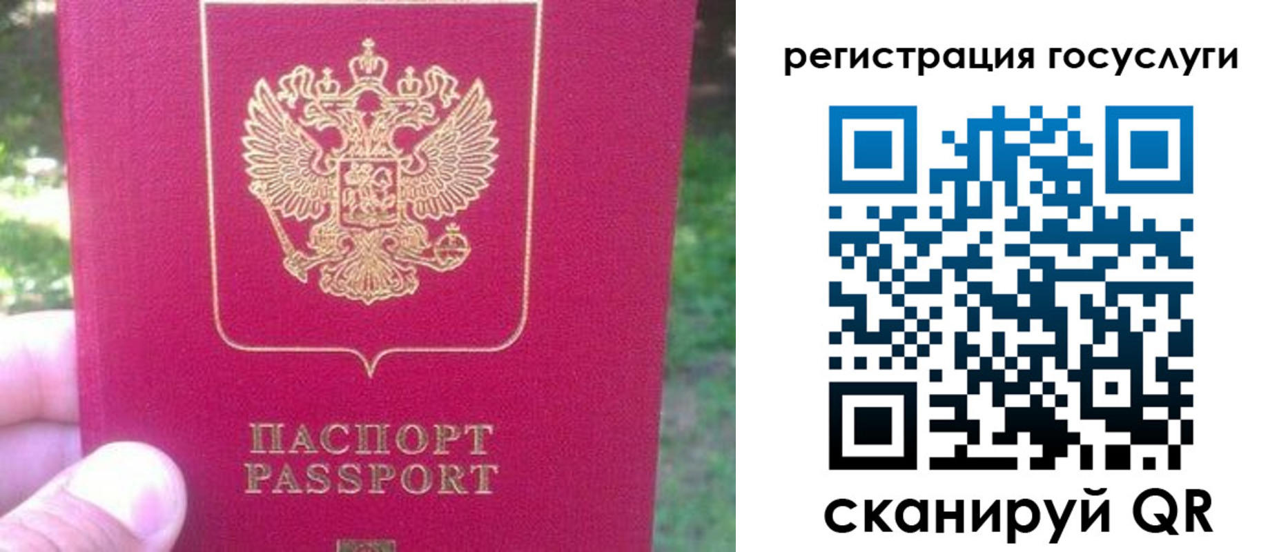 временная прописка в Ростовской области